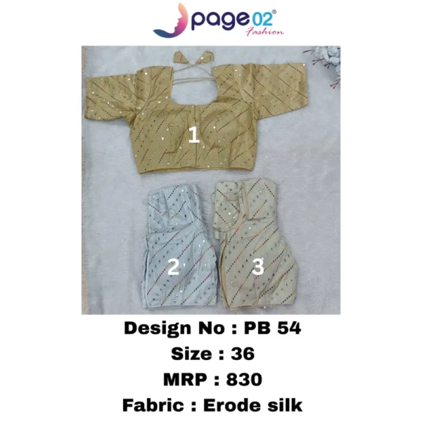 ERODE SILK PADDED BLOUSE - PAGE02