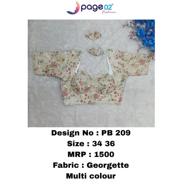 GEORGETTE MULTI COLOUR PADDED BLOUSE - PAGE02