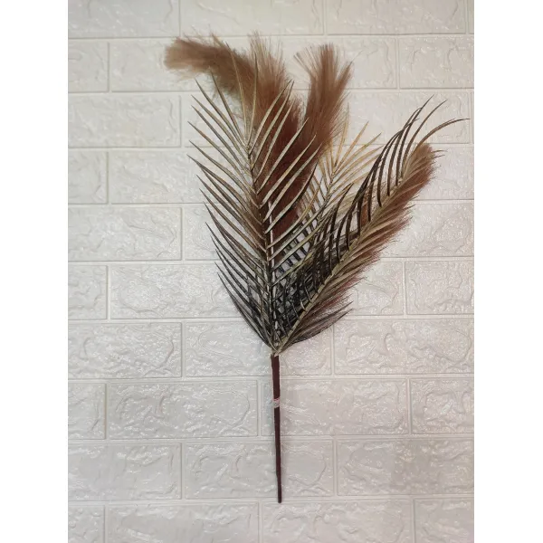 PAMBASS GRASS PACK OF 4