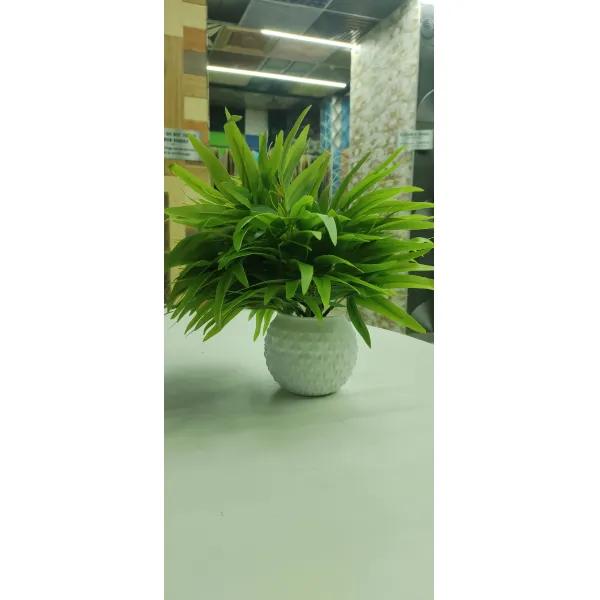 NSR BAMBOO PACK OF 2
