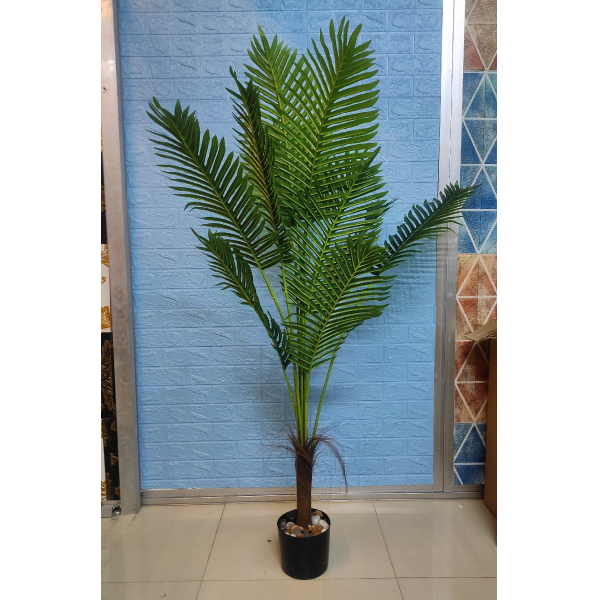 PLAM TREE