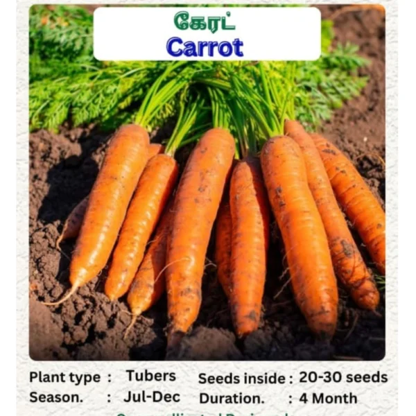 CARROT SEEDS - THAAYAGAM NATURALS