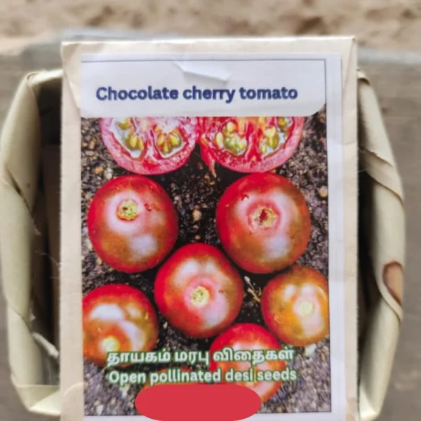 CHOCOLATE CHERRY TOMATO SEEDS - THAAYAGAM NATURALS