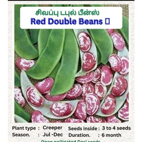 DOUBLE BEANS SEEDS - THAAYAGAM NATURALS