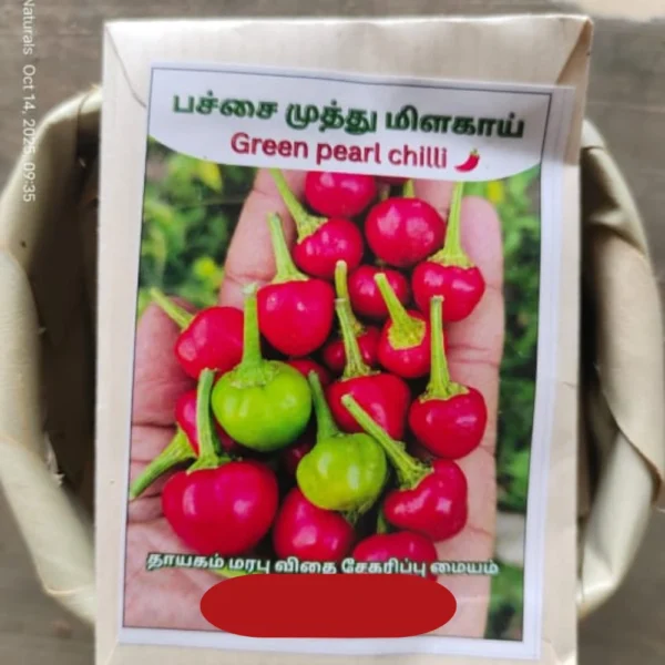 GREEN PEARL CHILLI SEEDS - THAAYAGAM NATURALS