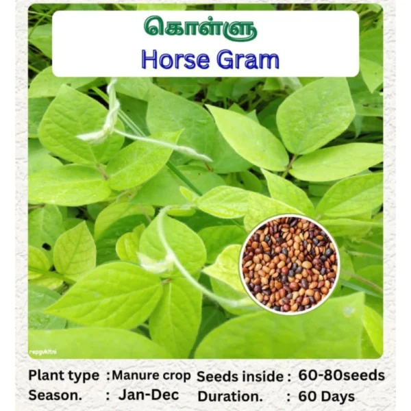 HORSE GRAM SEEDS - THAAYAGAM NATURALS