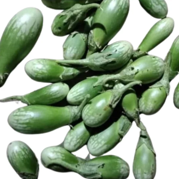 ODC GREEN BRINJAL SEEDS - AADHIYAGAI
