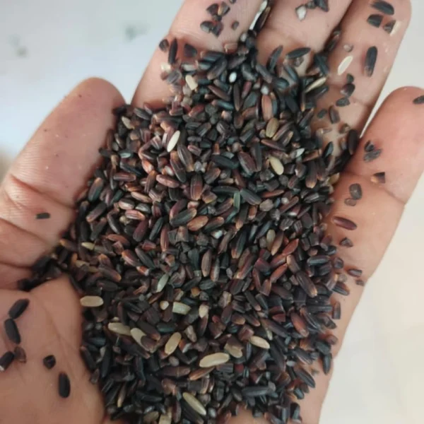 KARUPPU KAVUNI BLACK RICE 1 KG - THAAYAGAM NATURALS