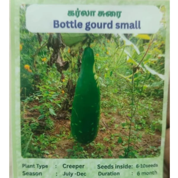 LONG BOTTLE GOURD SEEDS - THAAYAGAM NATURALS