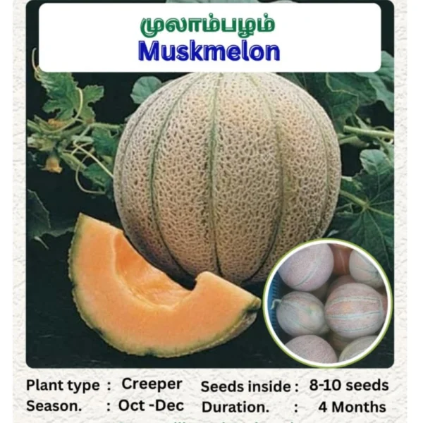 MUSKMELON SEEDS - THAAYAGAM NATURALS