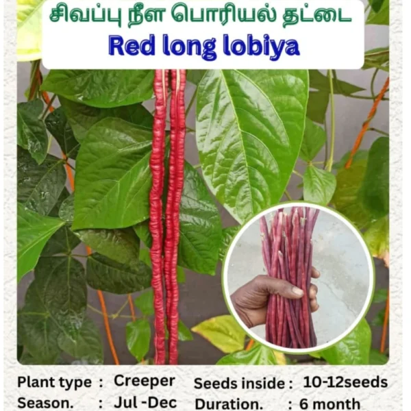 RED LONG LOBIYA SEEDS - THAAYAGAM NATURALS