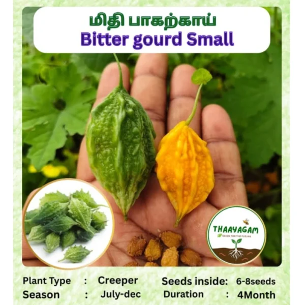 BITTER GOURD SMALL SEEDS - THAAYAGAM NATURALS