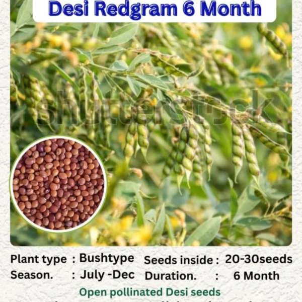 DESI REDGRAM - THAAYAGAM NATURALS