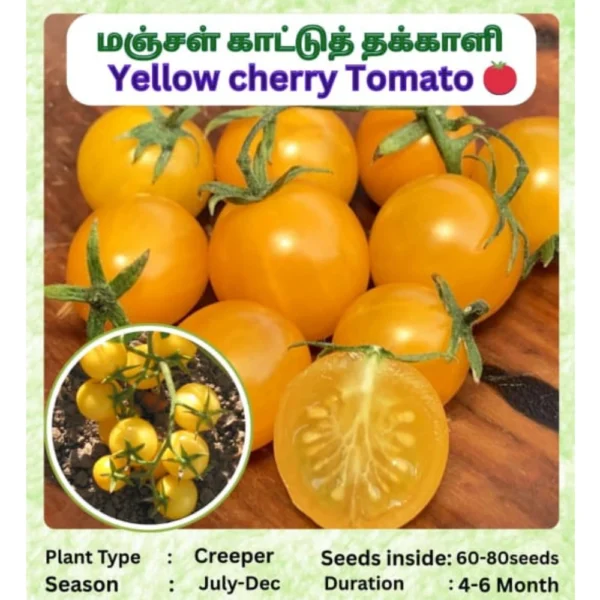 YELLOW CHERRY TOMATO SEEDSYELLOW MAIZE SEEDS - THAAYAGAM NATURALS
