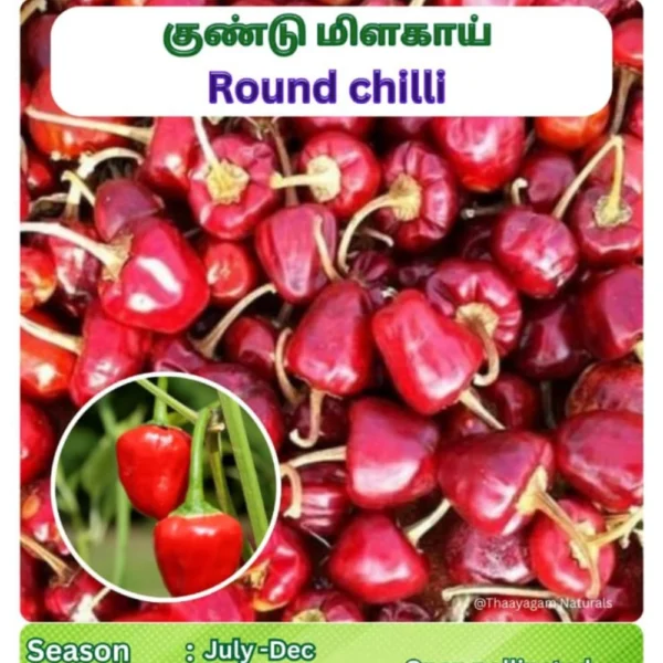 ROUND CHILLI SEEDS - THAAYAGAM NATURALS