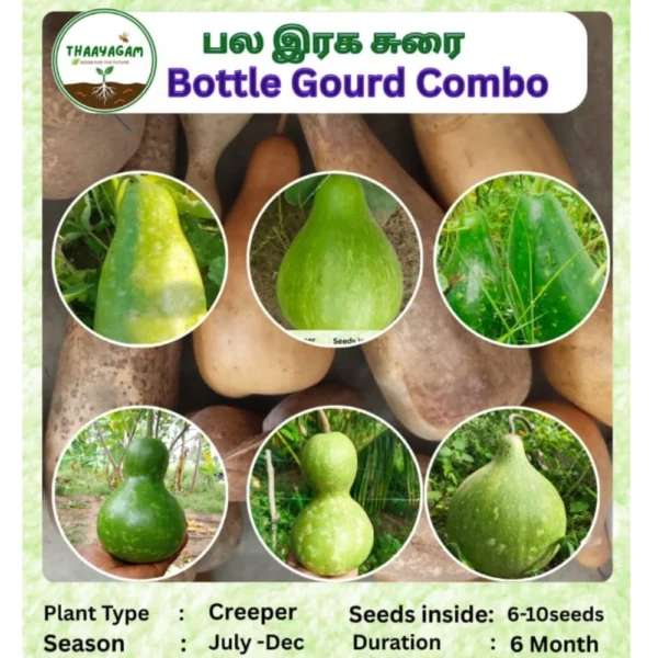 BOTTLE GOURD COMBO SEEDS - THAAYAGAM NATURALS